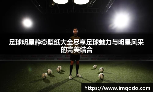 足球明星静态壁纸大全尽享足球魅力与明星风采的完美结合