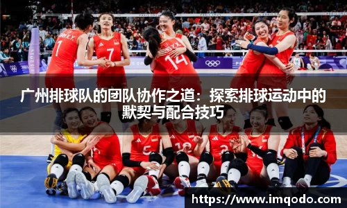 广州排球队的团队协作之道：探索排球运动中的默契与配合技巧